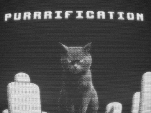 Meow-ster Mind
